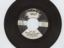 The FOUR SHELLS Hot Dog/Reputation. 1966 VOLT Funk