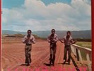 Reggae The Pioneers-Longshot TrojanTBL103 VINYL vg++ 1969 1st uk press