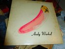 The Velvet Undergroud & Nico Andy Warhol LP Original