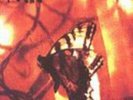 Rodan - Rusty [New Vinyl LP]