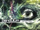 PENDULUM   HOLD YOUR COLOUR   3 x LIMITED EDITION VINYL LP (2018 EDITION)   NEW