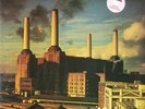 Pink Floyd-Animals Pink-Vinyl Rock, Limited Edition Harvest ?– 1C 064-98 434