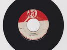 J J/ SOUND OF THE WITCH DOCTORS // THE CHAMP - MOHAWKS (68 INSTRUMENTAL 7