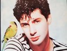 DISQUE 33 TOURS  ETIENNE DAHO  