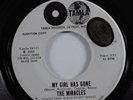 Northern Soul 45 MIRACLES My Girl Has Gone TAMLA VG+ promo HEAR