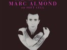 MARC ALMOND & SOFT CELL HITS AND PIECES NEW SEALED VINYL 2LP IN STOCK