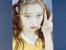 LOONA Choerry Hi High Broadcast Special Limited Photo Card  KPOP