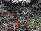 New Music Outer Heaven 