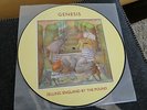 Genesis Selling England By The Pound  PICTURE VINYL LP Firstpress 1974