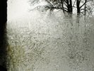 Bon Iver - For Emma, Forever Ago