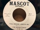 MONOTONES - MASCOT RECORDS - RARE WHITE LABEL - BOOK OF LOVE/YOU NEVER LOVED NM