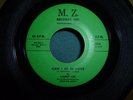 LARRY LEE AND FOUR BEL-AIRES can i be in love  45 M.Z. ORIGINAL NM 1959 DOOWOP