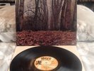 TWINK Think Pink Sire Fr Orig 1970 Laminated Heavy Psych Prog Acid Pretty Things