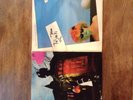 Toyah Vinyl