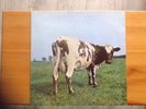Pink Floyd 12