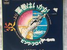 Pink Floyd - Have a Cigar / Welcome to the machine - Japan single 7