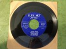 Sunshine / Flying High - Janine Christie Rock & Roll 1958 Blue Sky Records
