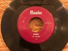 The Squires - Sindy/Do-Be-Do-Be-Wop-Wop * Mambo 105 R&B Doo Wop 45