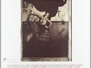 Pixies (The) - Surfer Rosa (Vinyle)