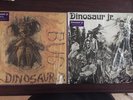 Dinosaur jr. Vinyl Record Lot, Bug And Self Titled LP