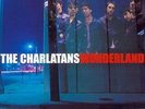 CHARLATANS THE - WONDERLAND (2LP VINYL)