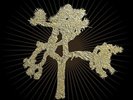 The Joshua Tree  U2 Vinyl Record