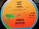 JUNIOR MURVIN TEDIOUS / MEMORIES OG UK ISLAND RECORDS 12