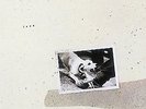 Tusk - Fleetwood Mac - Rock & Pop Music Pre-Loved - Vinyl