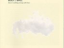 BUILT TO SPILL - THERE'S NOTHING WRONG WITH LOVE NEW VINYL RECORD