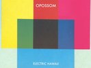 OPOSSOM - ELECTRIC HAWAII NEW VINYL