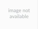 CRAZY CAVAN & RHYTHM ROCKERS: RHYTHM ROCKIN BLUES (LP vinyl *BRAND NEW*.)