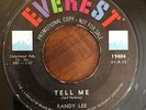 Rockabilly Jiver 45 Randy Lee - Tell Me HEAR  Everest