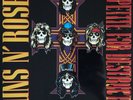 Guns N' Roses Appetite For Destruction 2 LP 180 Gram Vinyl Album DELUXE EDITION