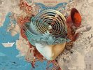 Anderson - Invention Of Knowledge