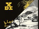 YDI - A PLACE IN THE SUN/BLACK NEW VINYL