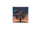 Talk Talk - Laughing Stock - Vinile