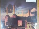Pink Floyd - Animals - Transparent Red vinyl