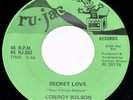 Rare VG+ Orig 45 on Ru-Jac CONROY WILSON Secret Love / Canadian Sunset BALTIMORE