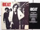 Powerpop PAUL COLLINS  the Beat LP 1.Press 1979 Protex Undertones PUNK Real Kids