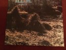 R.E.M. - Murmur  Original European 1st Pressing Vinyl With Inner Sleeve Nm/Vg