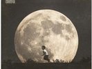 August Greene Vinyl