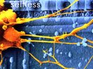 Godflesh - Selfless