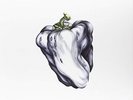 WEEN-WHITE PEPPER (UK IMPORT) VINYL NEW