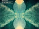Bonobo - North Borders