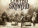 LYNYRD SKYNYRD - SWEET HOME ALABAMA (VINYL)