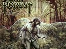 Dark Forest - Awakening