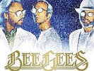 Bee Gees - Timeless - The All-Time Greatest Hits (NEW 2 VINYL LP)