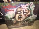 DISASTROUS MURMUR 