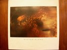COCTEAU TWINS Victorialand Vinyl LP 1986 4AD UK Press VG+/EX Treasure