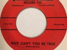 Garage 45 THE PLAGUES Why Can't You Be True QUARANTINED Through This World HEAR